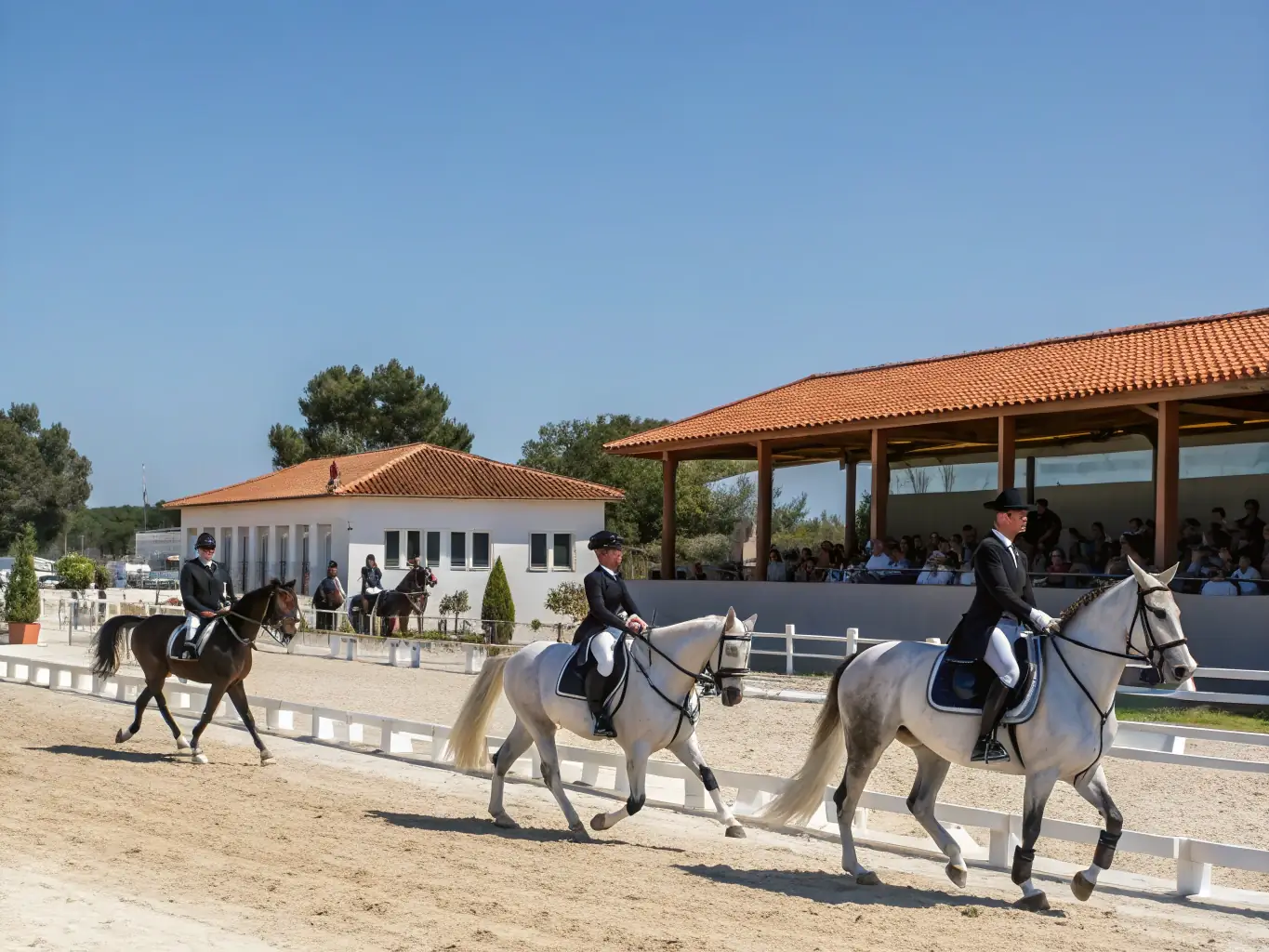 A group of riders participating in a dressage session, demonstrating the elegance and discipline taught at ECURIE DES PINS.